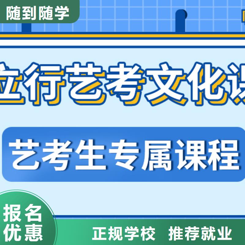 艺术生文化课补习学校有哪些定制专属课程