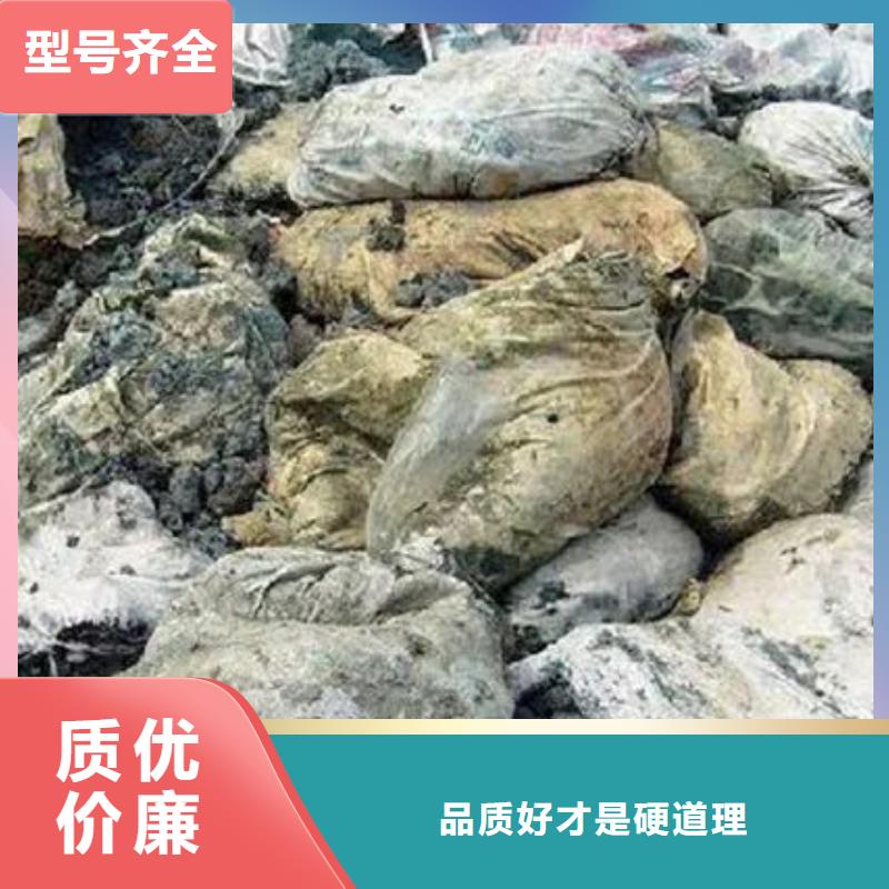  含铜泥多年行业经验