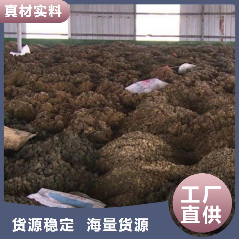 含铜泥,太阳能发电板回收厂家诚信高价