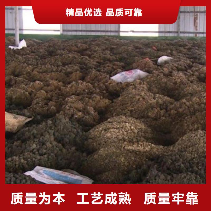  含铜泥渠道正规