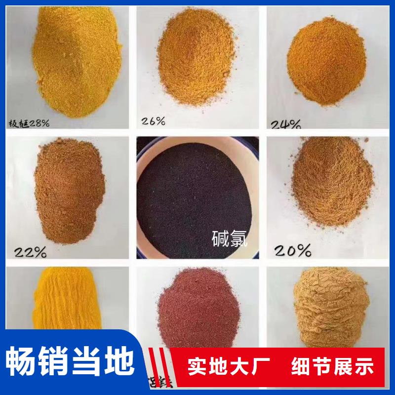 黄色聚合氯化铝来厂考察