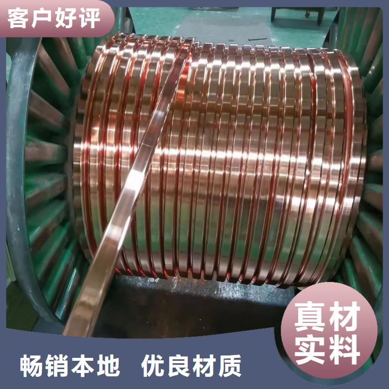 紫铜排实体厂家支持定制