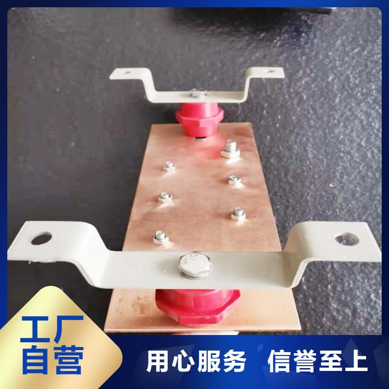 紫铜排自主研发