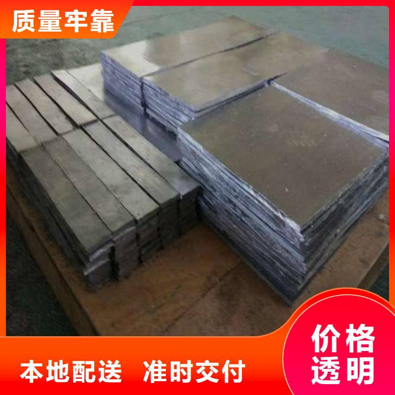 铅门源厂定制