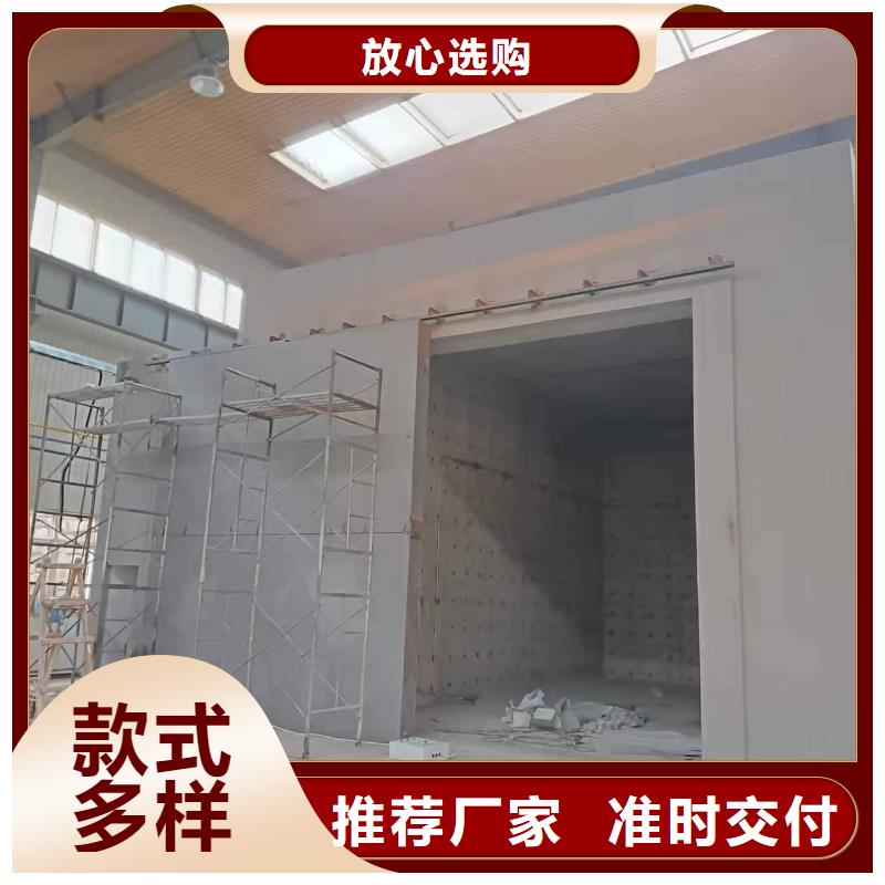 探伤室防护门款式新颖
