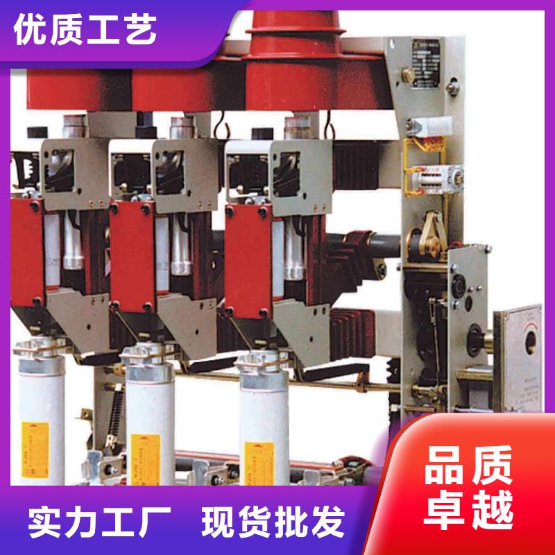 FKN12-12D/630-20高压负荷开关樊高