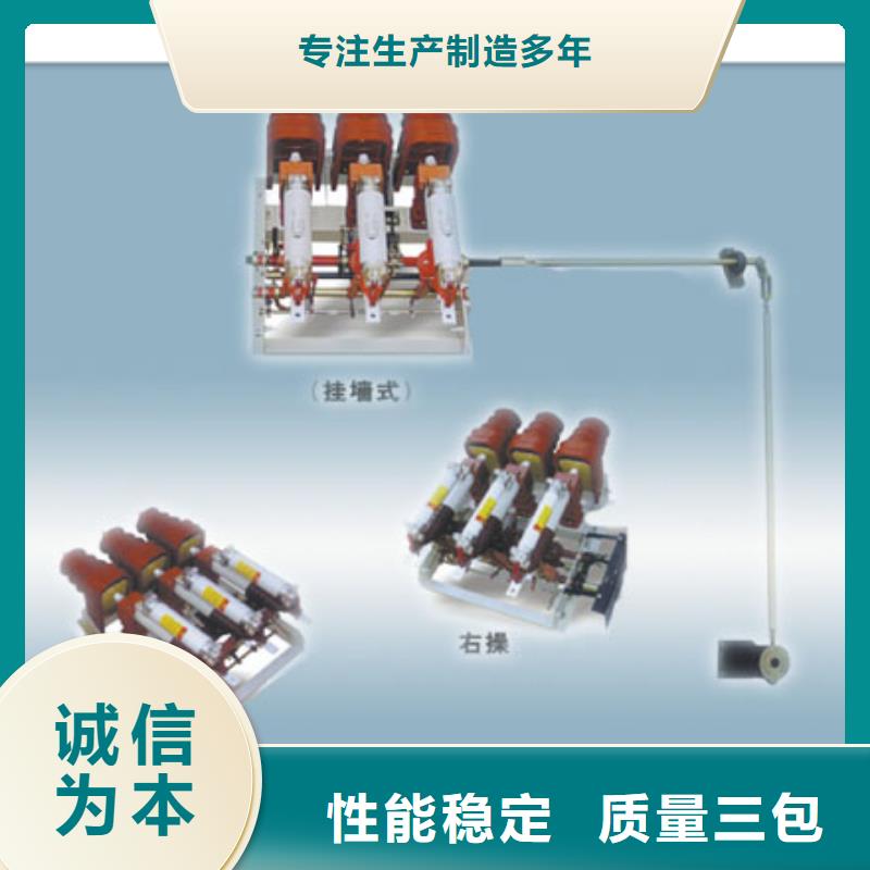 FKN12-12D/630-20高压负荷开关樊高