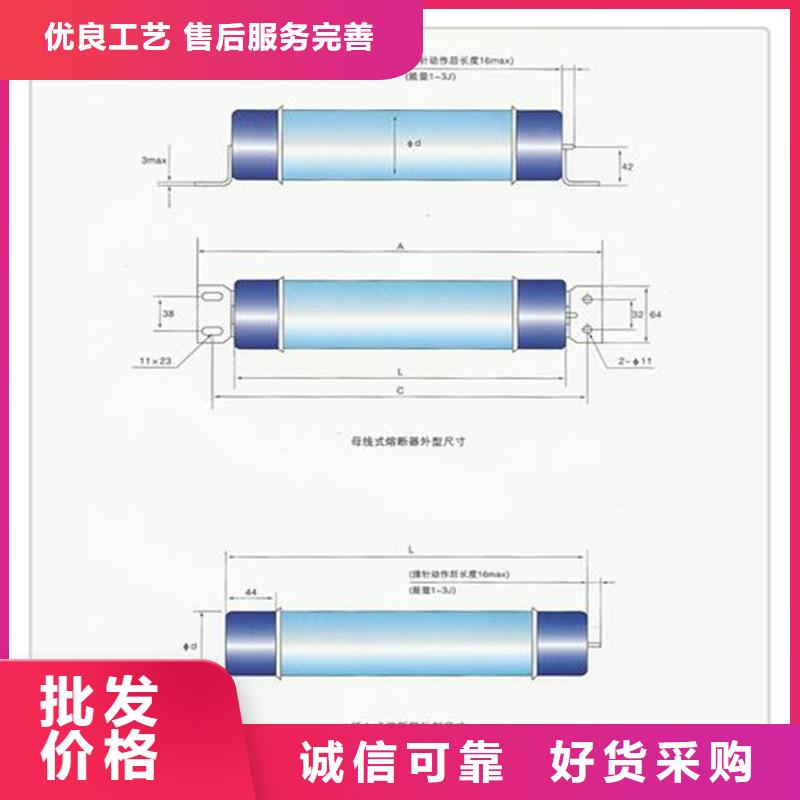 XRNT-10/6A高压PT熔管