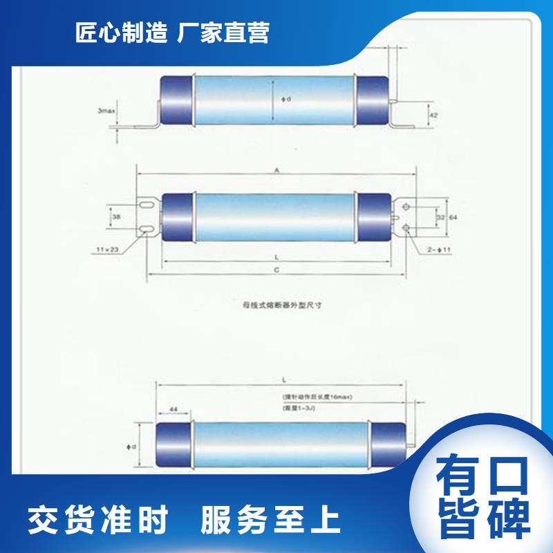 XRNT1-40.5/20A熔管