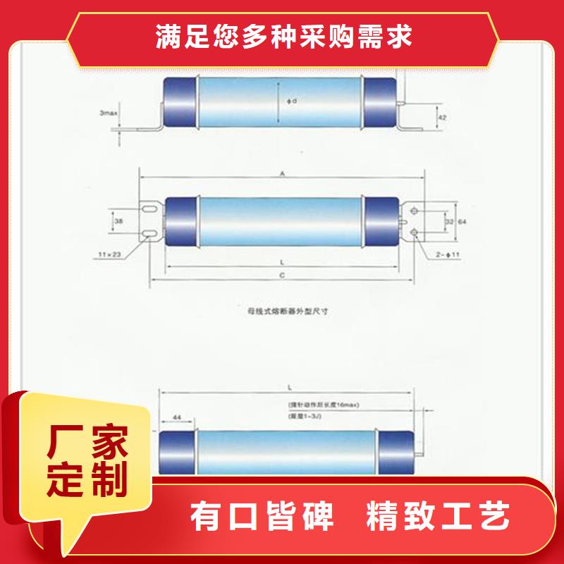 RN3-10/30熔断器樊高