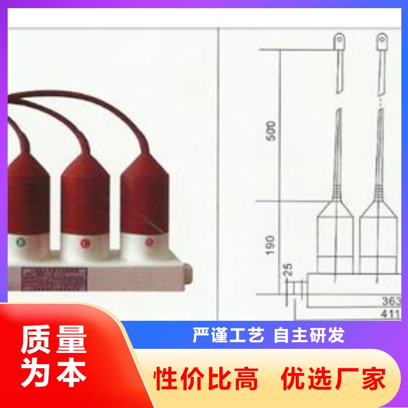 JSY-10/800避雷器计数器