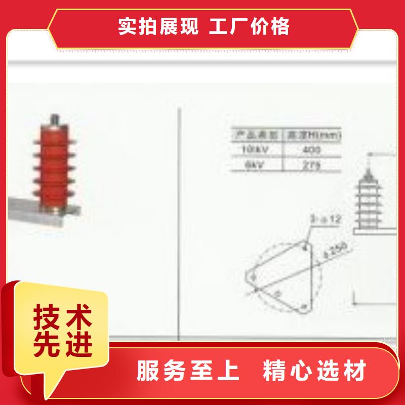 JSY-10/800避雷器计数器