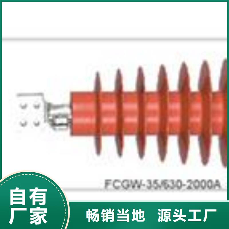 CWW-10/1000A陶瓷穿墙套管樊高