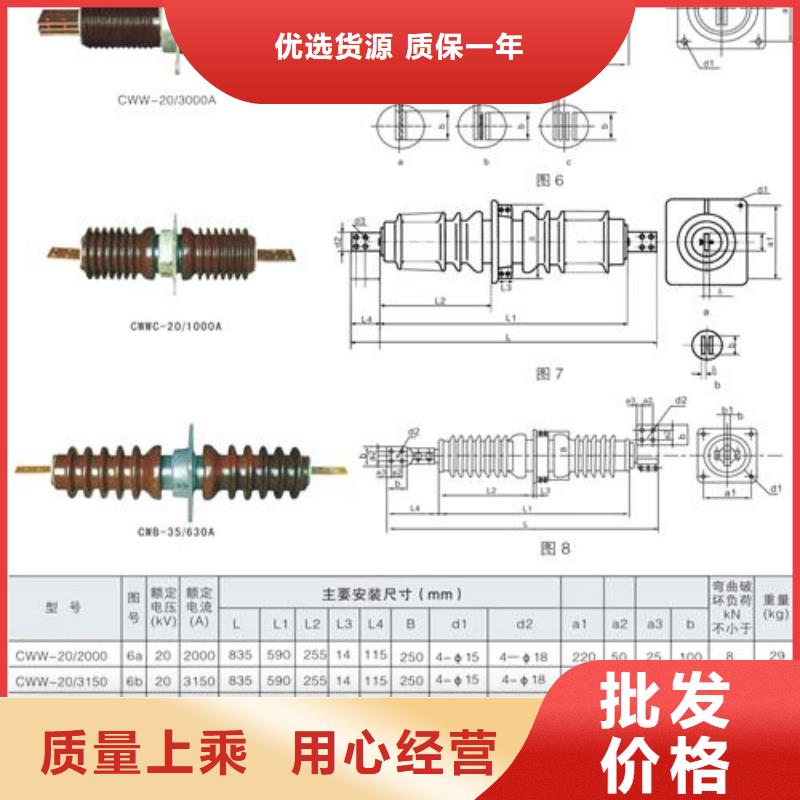 CWWL-40.5/3150A-4陶瓷高压托管