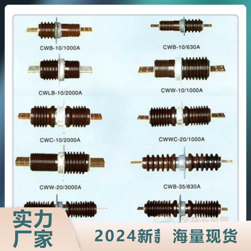 CWB-10/630A高压穿墙套管