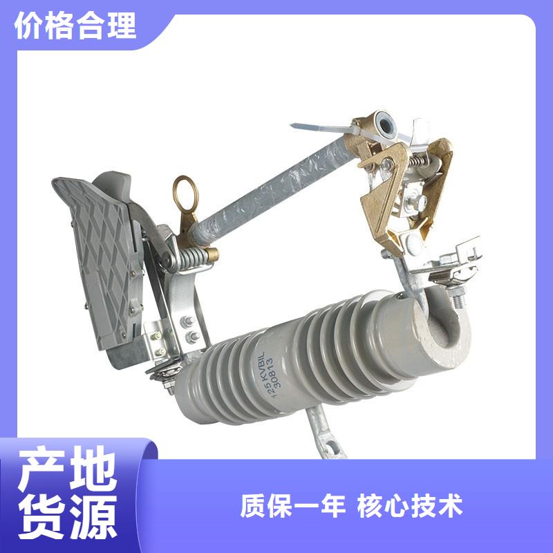 HPRW12-10/100跌落式熔断器