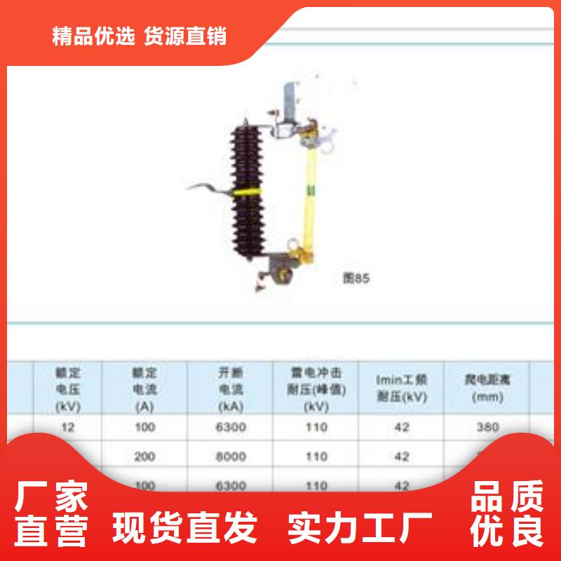 RW11-10F/100A跌落开关哪里有