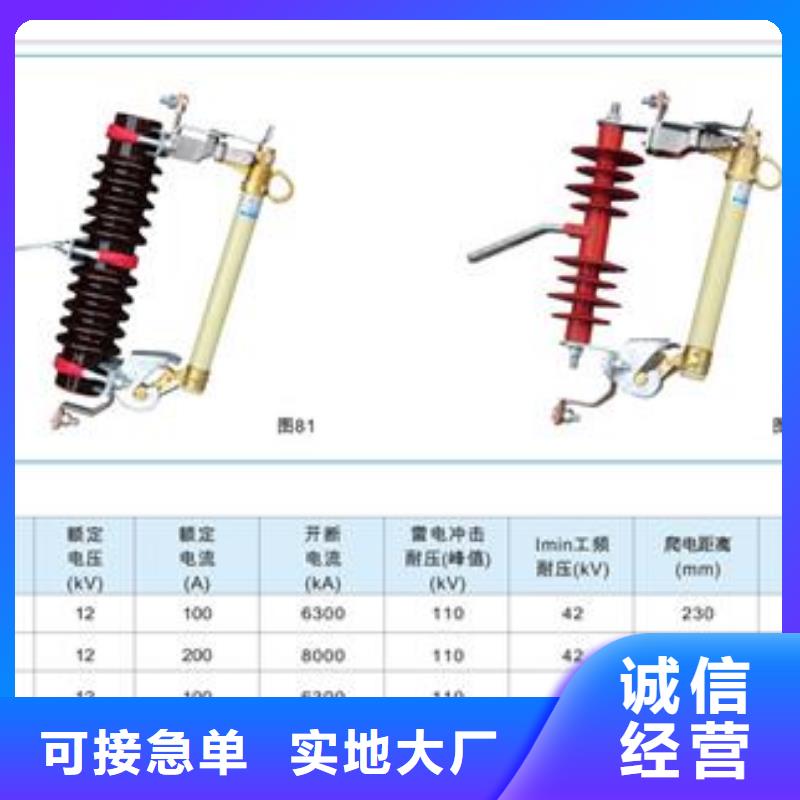 熔断器-氧化锌避雷器价格一站式供应