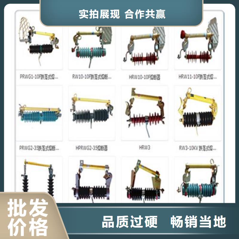 RW7-10/100出口型熔断器乐东县