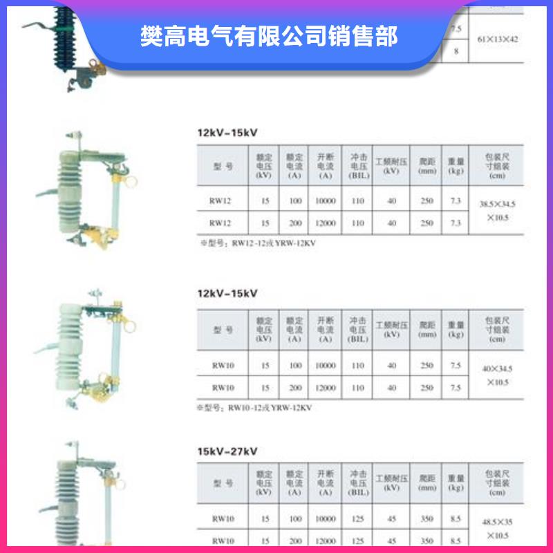 HRW12-12/100高压熔断器樊高