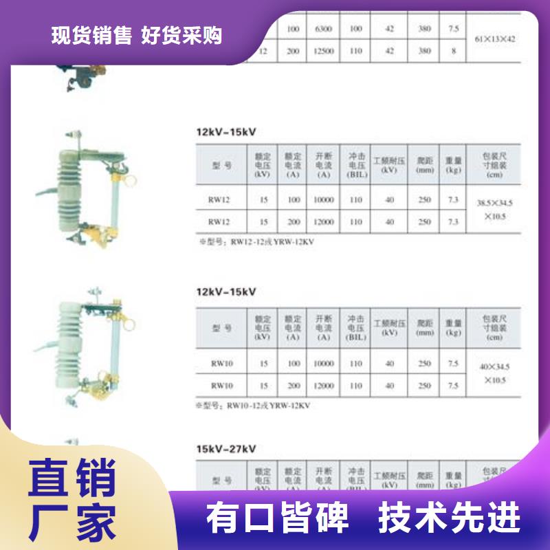 BRN-50/A高压限流熔断器