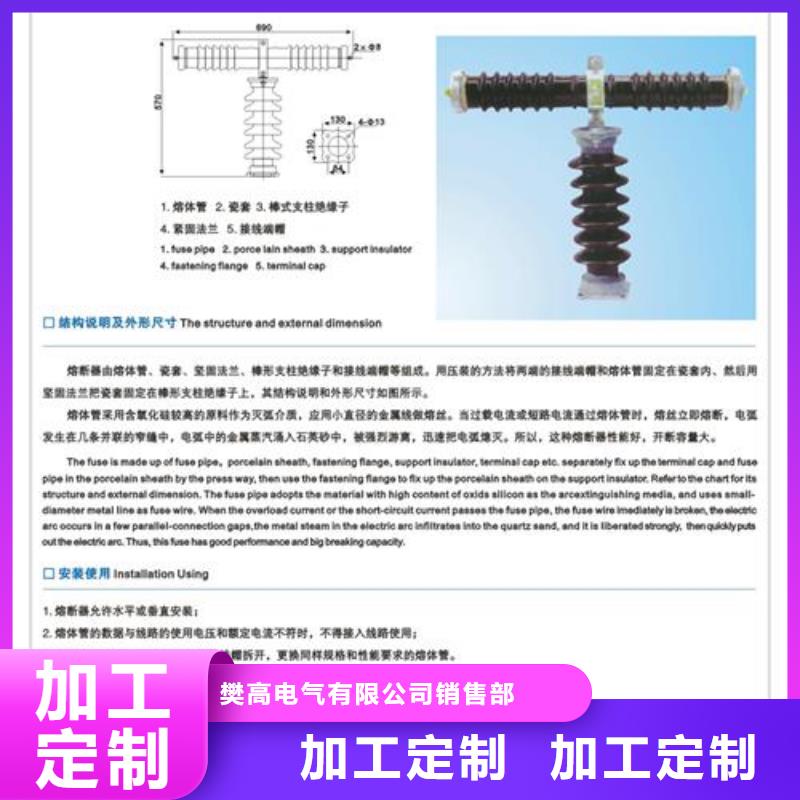 XS-24/100A跌落开关樊高