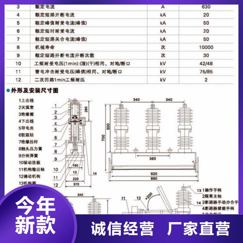 ZW32-24/125010KV户外柱上真空断路器樊高