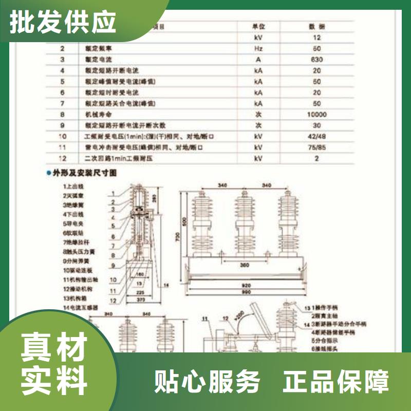 LW3-10/630-12.5,六氟化硫断路器