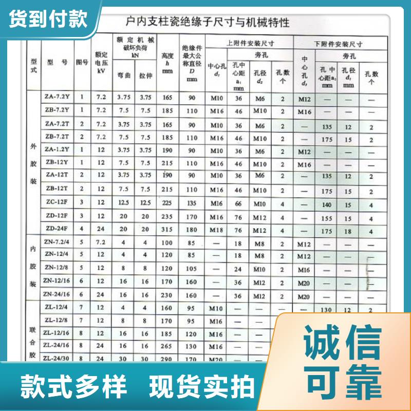 FZSW-110/16复合绝缘子