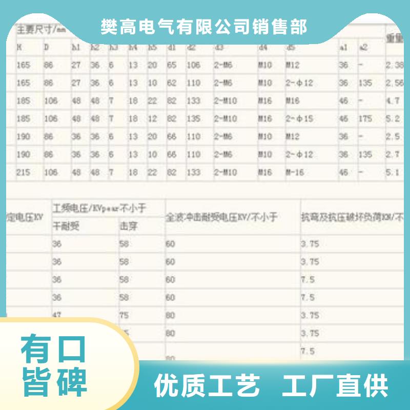 XWP2-100绝缘子樊高电气