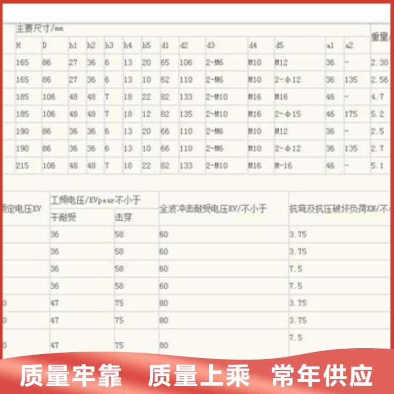 FZSW-126/16复合支柱绝缘子