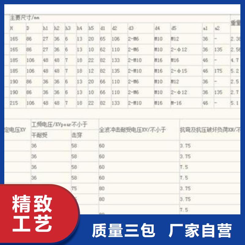 ZSW-110/4绝缘子樊高电气