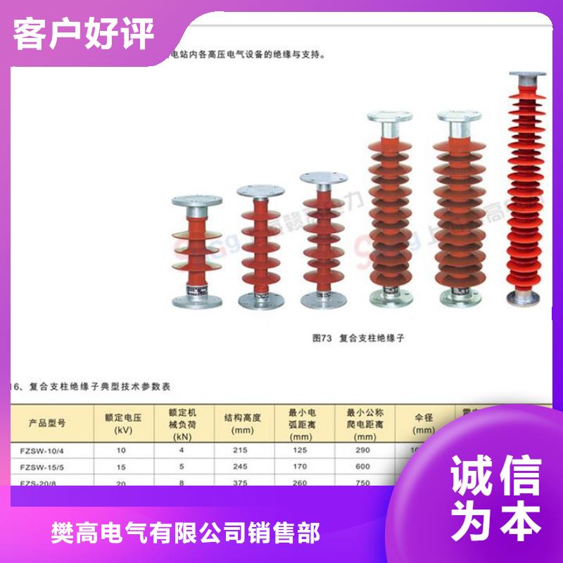 ZB-6Y陶瓷绝缘子