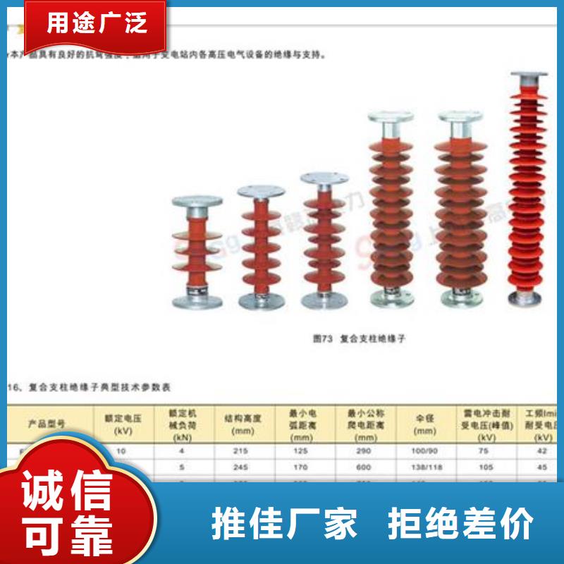 FZS-24/8L复合绝缘子