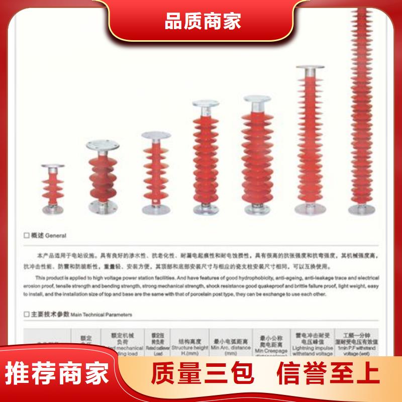 FXBW3-330/100绝缘子樊高