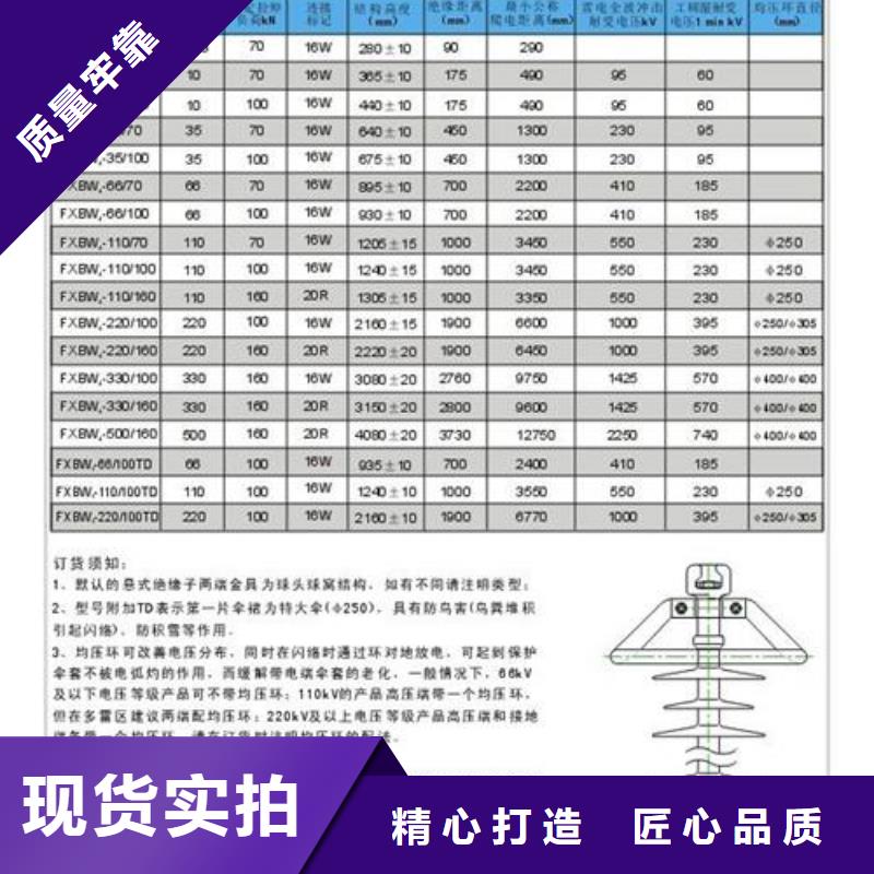 PSN-125/8ZS绝缘子