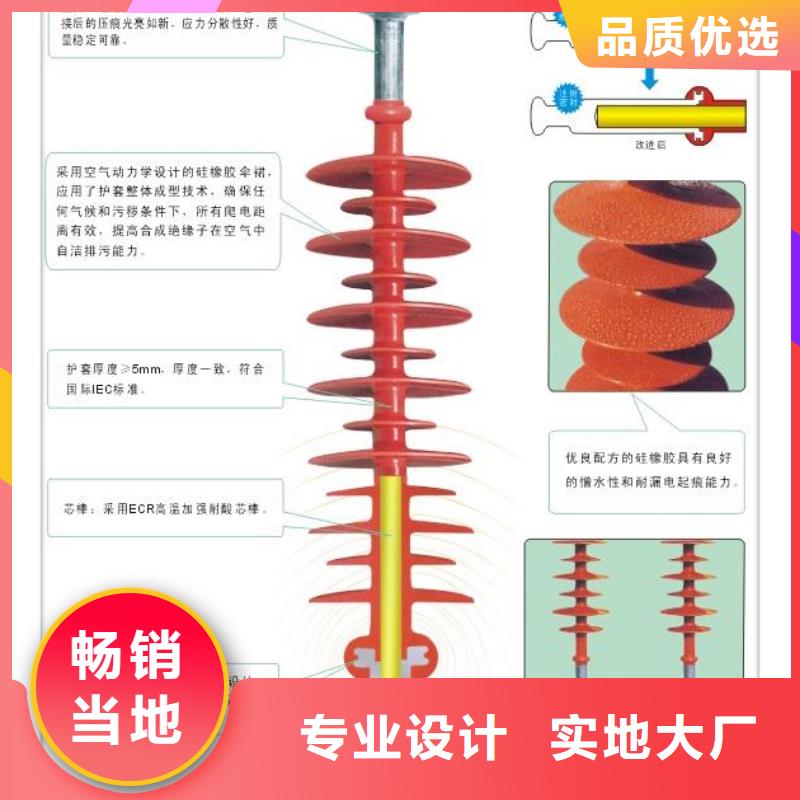 ZJ-10KV/65*140环氧树脂绝缘子