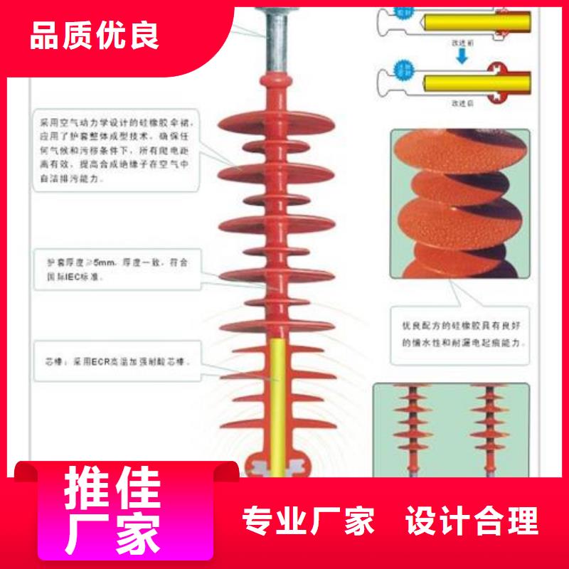 FXBW2-66/70绝缘子樊高