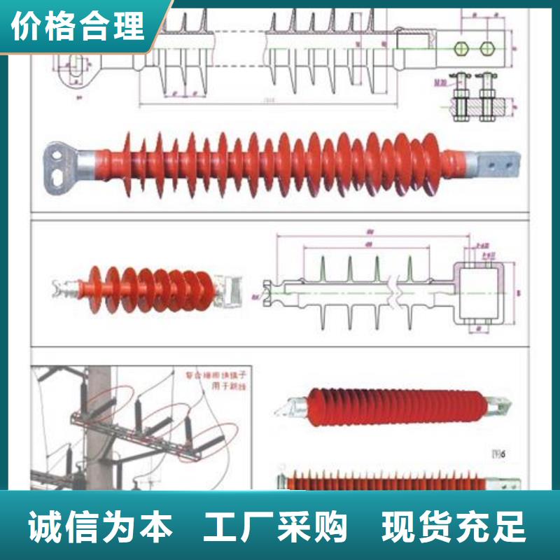 ZN-35KV/150*320高压环氧树脂绝缘子