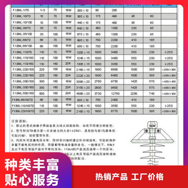 ZL-12/16陶瓷绝缘子樊高电气