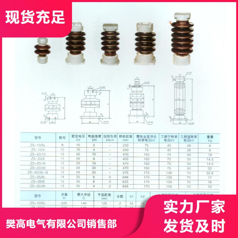 ZJ-35KV/145*320高压绝缘子