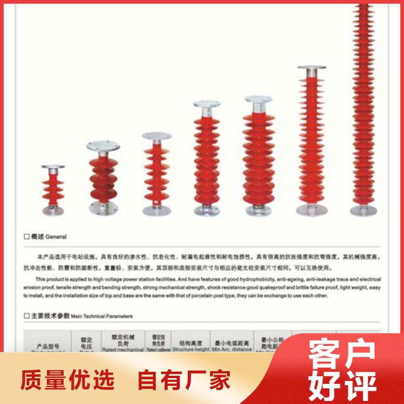 绝缘子跌落式熔断器公司价格公道合理