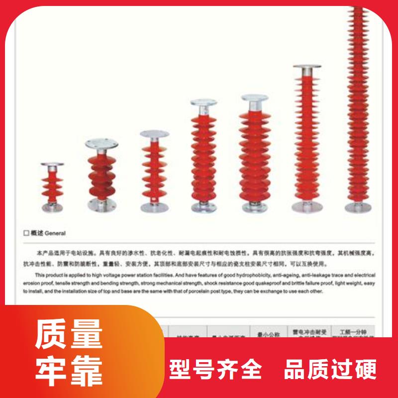 FZSW-110/10复合绝缘子