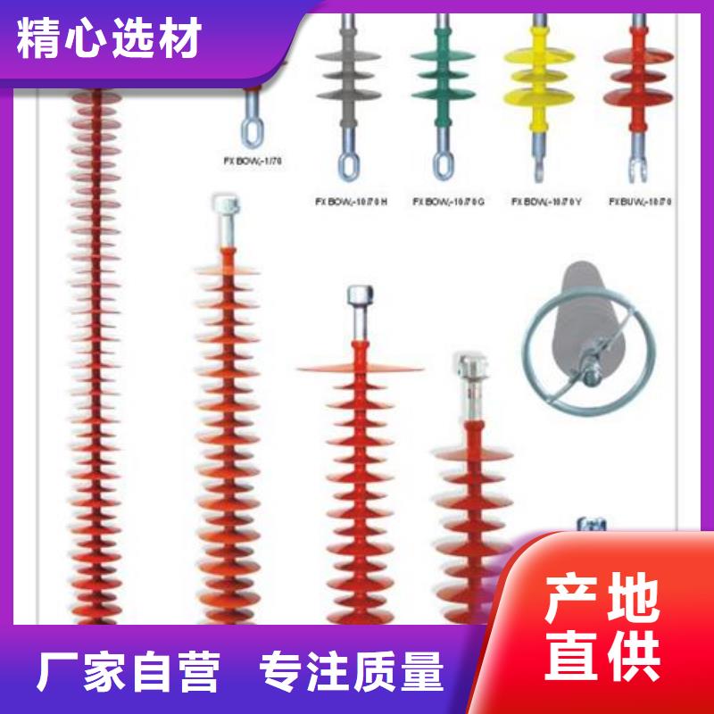 FZSW4-126/8-1复合绝缘子樊高