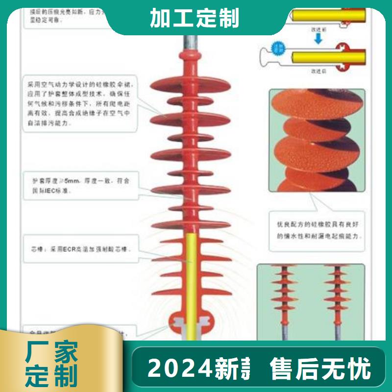 FZS-12/4复合支柱绝缘子