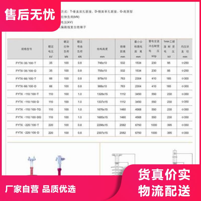 FZSW-126/10复合绝缘子樊高