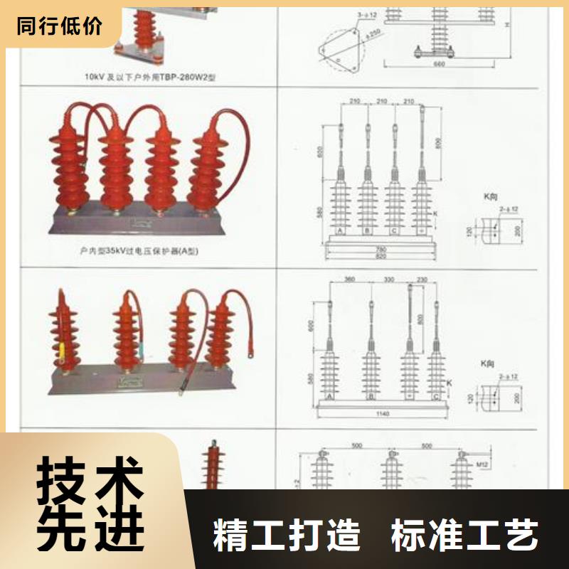 TBP-C-42F/310串联间隙过电压保护器