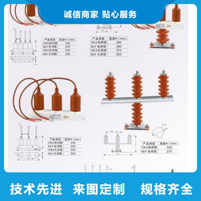 TBP-C-12.7F/131-J组合式避雷器