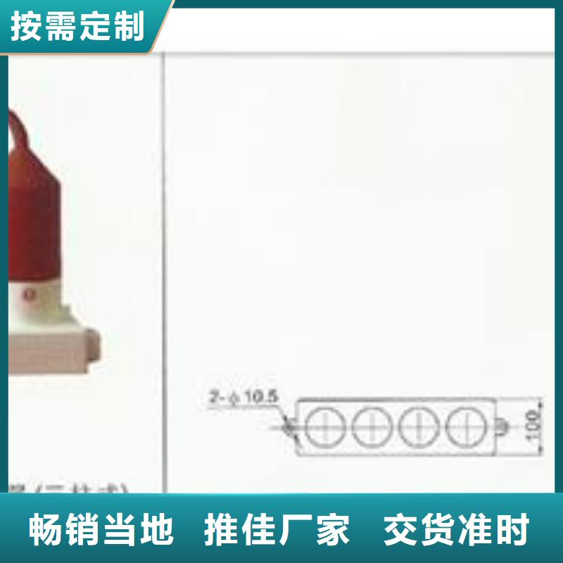 【过电压保护器氧化锌避雷器超产品在细节】