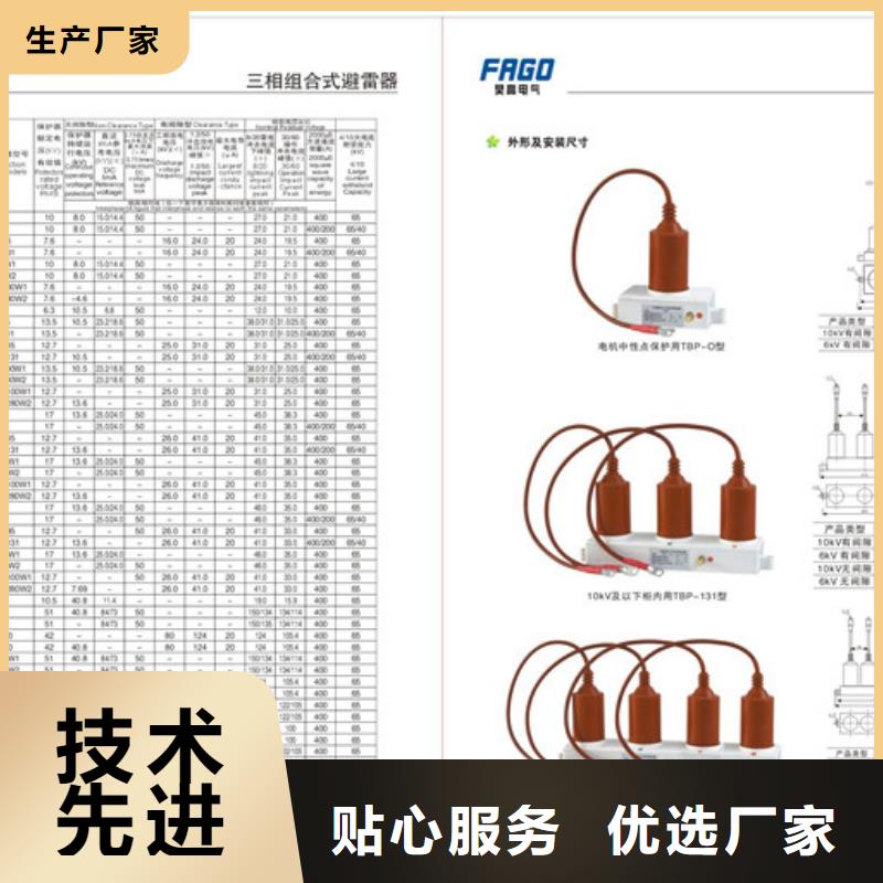 TBP-B-10KV组合式保护器